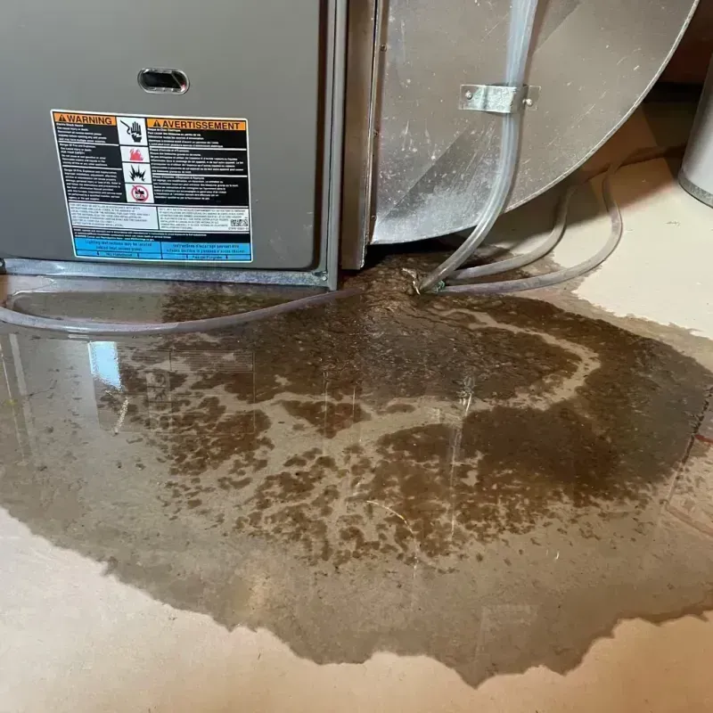 Appliance Leak Cleanup in Butler County, KY